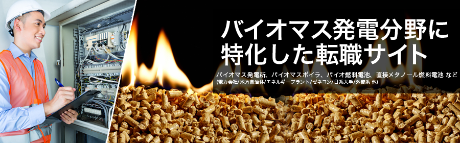 
バイオマス発電所、バイオマスボイラ、バイオ燃料電池、直接メタノール燃料電池 など
(電力会社/地方自治体/エネルギープラント/ゼネコン/日系大手/外資系 他)