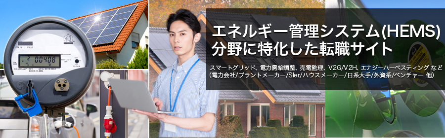 スマートグリッド、電力需給調整、売電監理、V2G/V2H、エナジーハーベスティング など
（電力会社/プラントメーカー/SIer/ハウスメーカー/日系大手/外資系/ベンチャー 他）