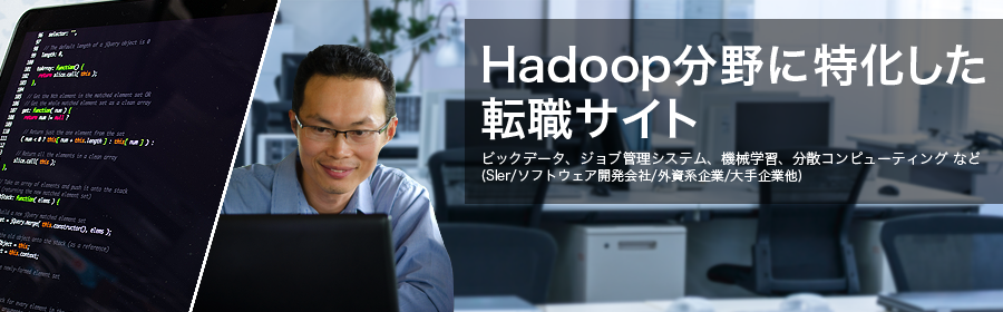 ビックデータ、ジョブ管理システム、機械学習、分散コンピューティング など
(Sler/ソフトウェア開発会社/外資系企業/大手企業他)