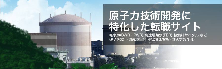 軽水炉（BWR・PWR)、高速増殖炉（FBR)、核燃料サイクル など （原子炉設計・開発/プラント保全管理/解析・評価/許認可 他）