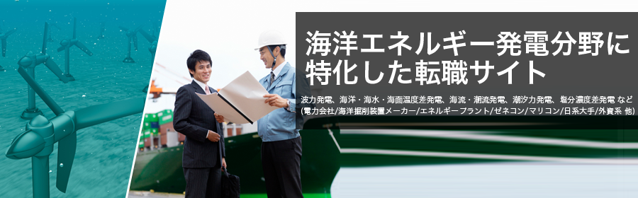 
波力発電、海洋・海水・海面温度差発電、海流・潮流発電、潮汐力発電、塩分濃度差発電 など
(電力会社/海洋掘削装置メーカー/エネルギープラント/ゼネコン/マリコン/日系大手/外資系 他)