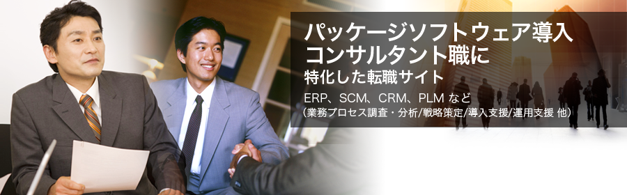 ERP、SCM、CRM、PLMなど （業務プロセス調査・分析/戦略策定/導入支援/運用支援 他）