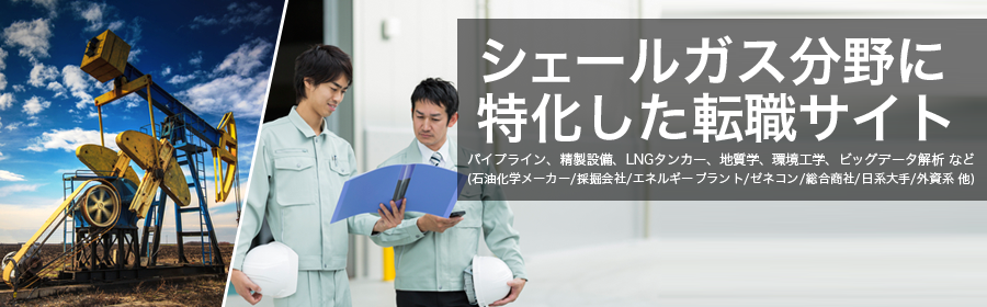 
パイプライン、精製設備、LNGタンカー、地質学、環境工学、ビッグデータ解析 など
(石油化学メーカー/採掘会社/エネルギープラント/ゼネコン/総合商社/日系大手/外資系 他)